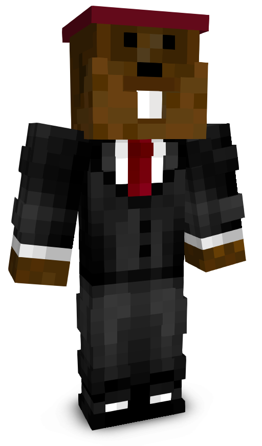 Bl1tzeer's skin