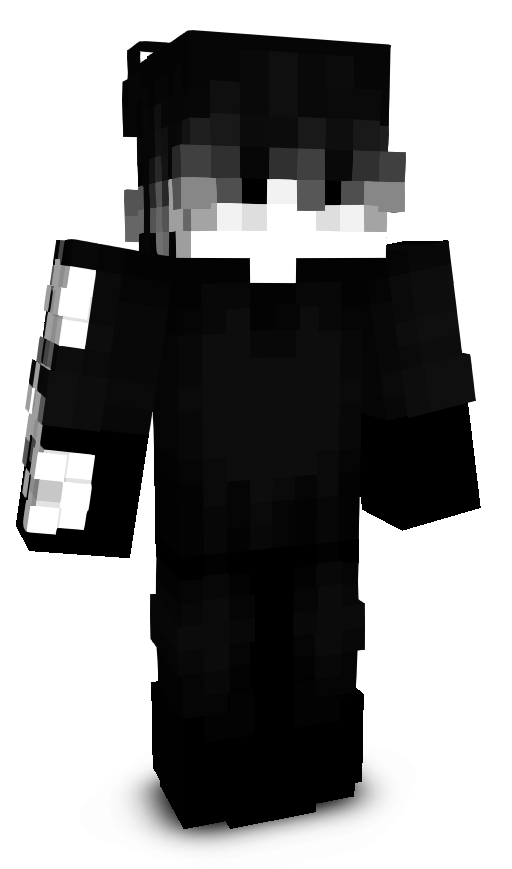 RaptorNinja4288's skin