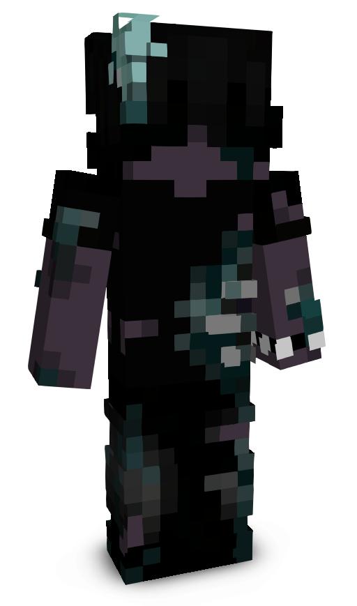 Reigncpvp's skin