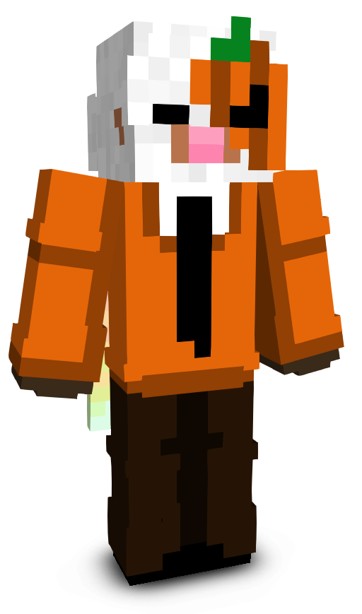 Whyzit's skin