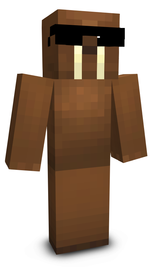 DarkLordRacoon's skin