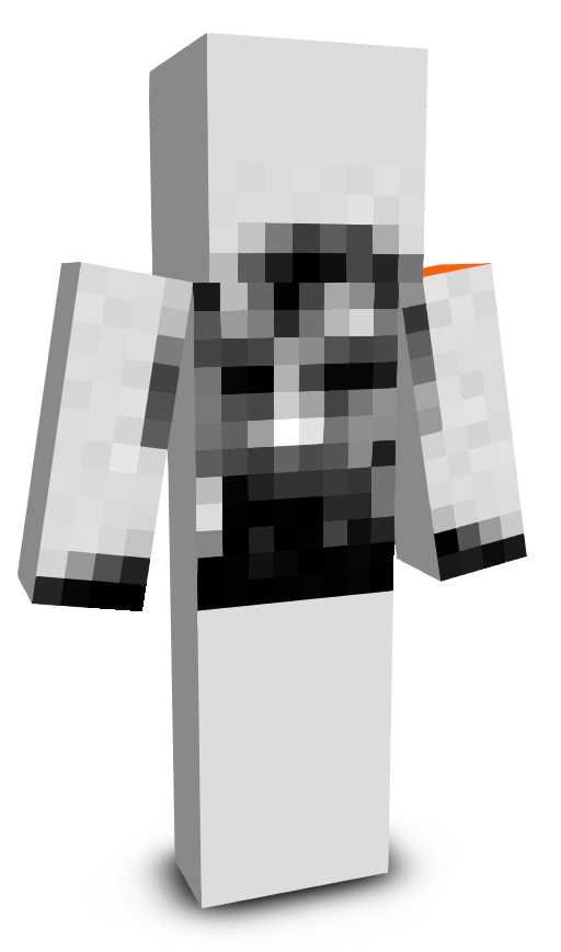 arkrrre's skin