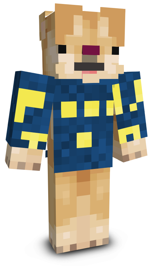 MrPoodleTon's skin
