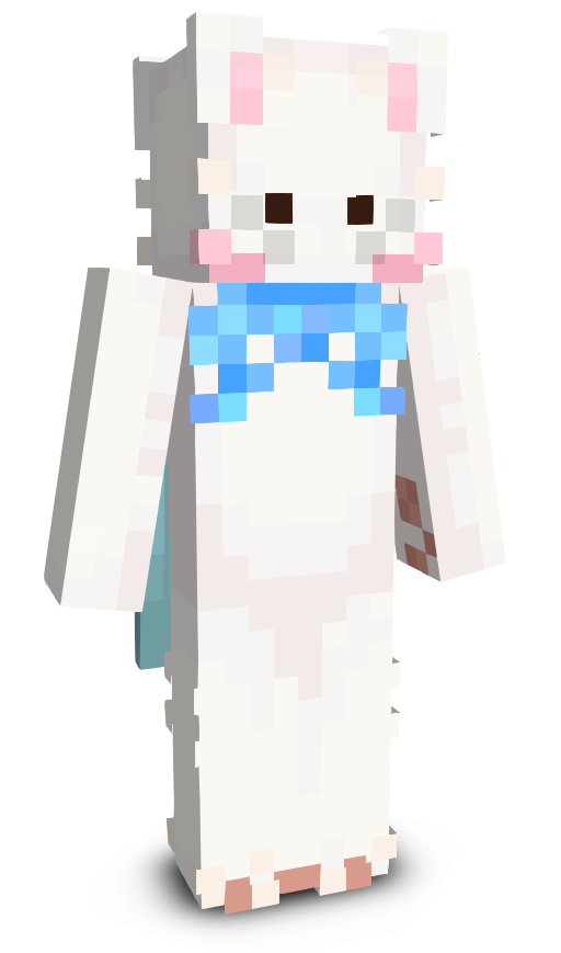 hiiion's skin