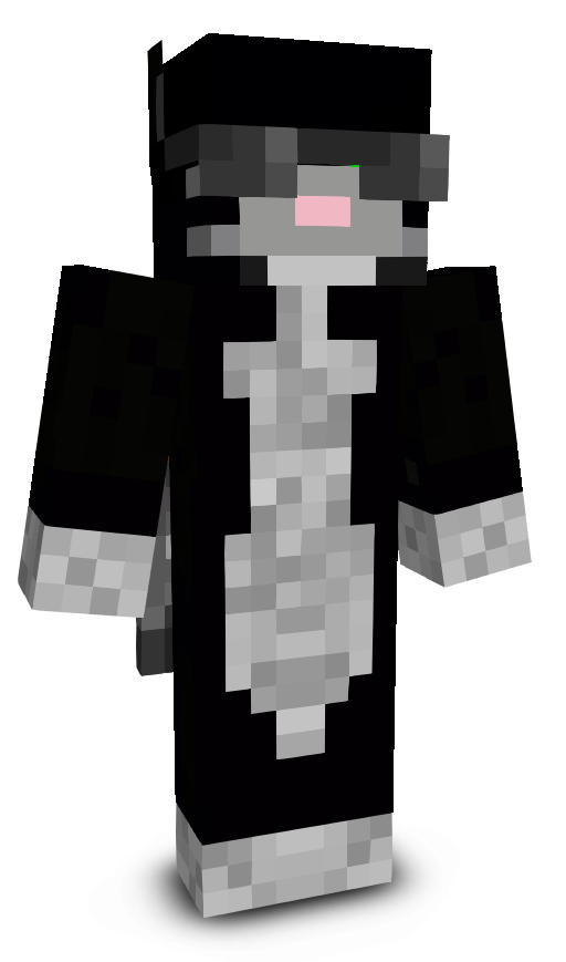 hausehausemaster's skin