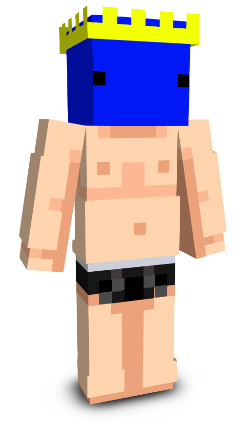 Zyrox4025's skin