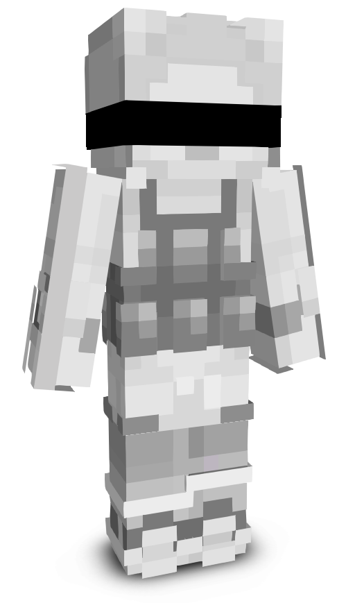 vtcn's skin