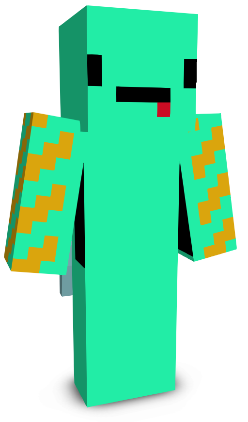 NotNikoFR's skin