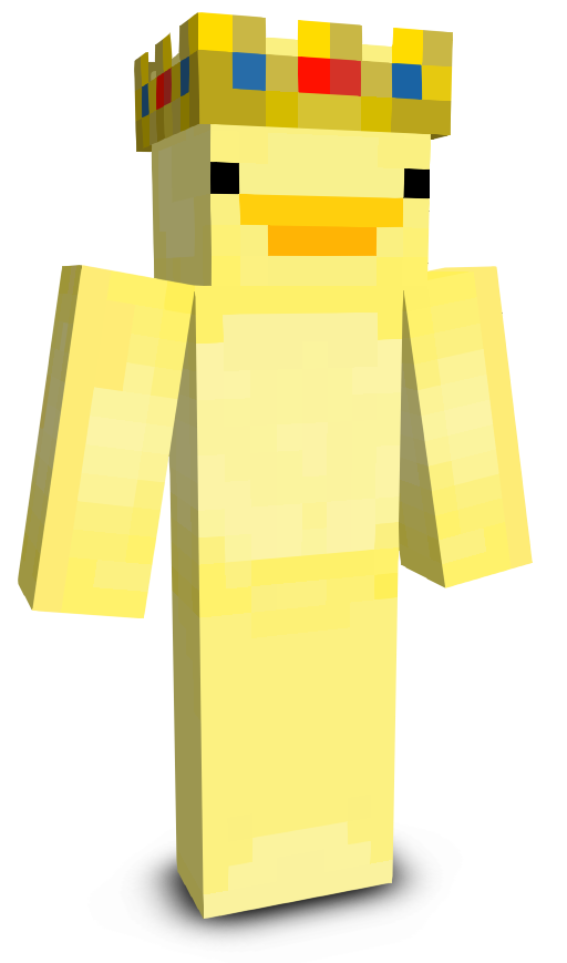 bloxer789's skin