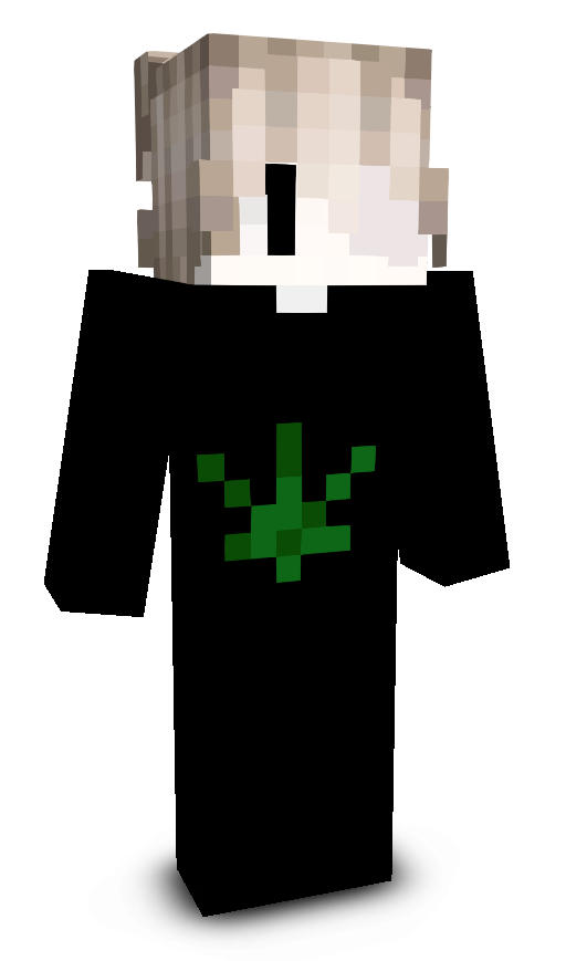 Avixx_'s skin