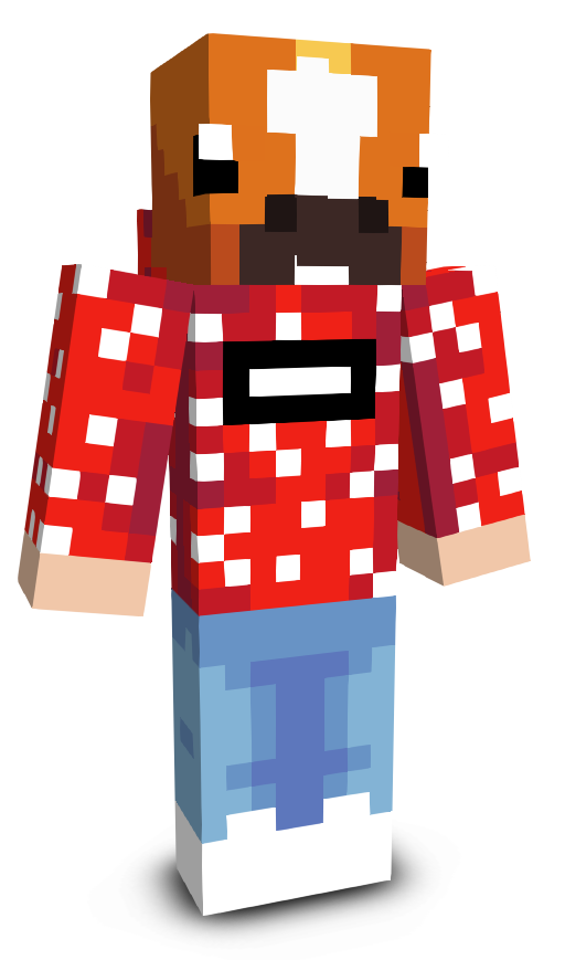 The_wright_guy23's skin