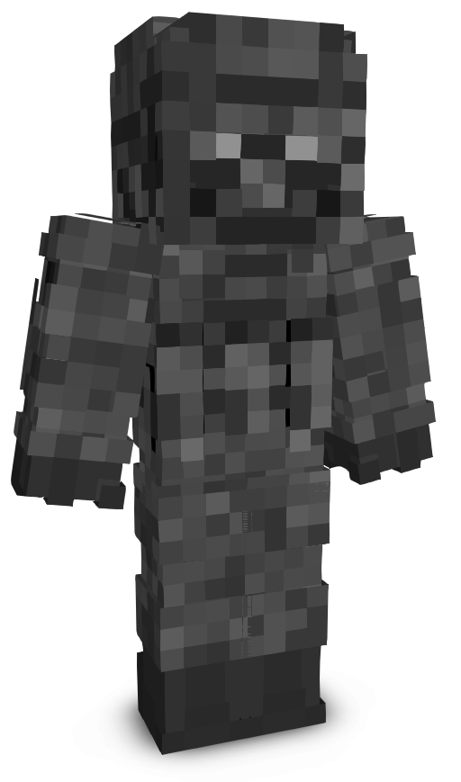 vrmer's skin
