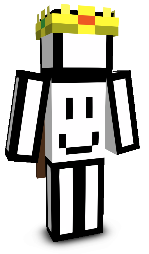 roki_on_MC's skin