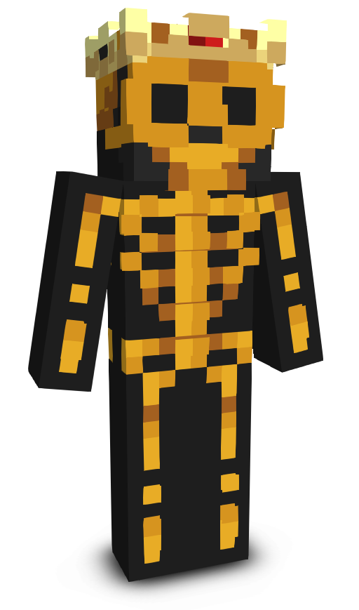 wizardcpvp's skin