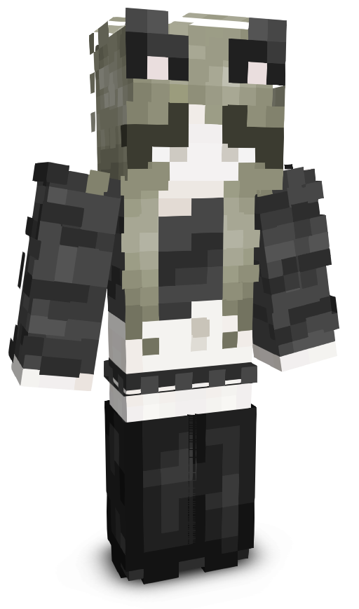 wswsswswsws's skin