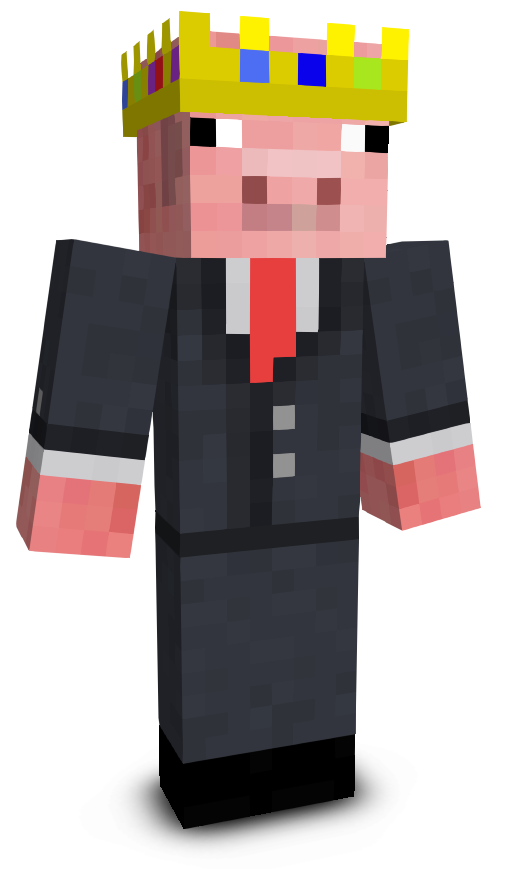 bot1433's skin