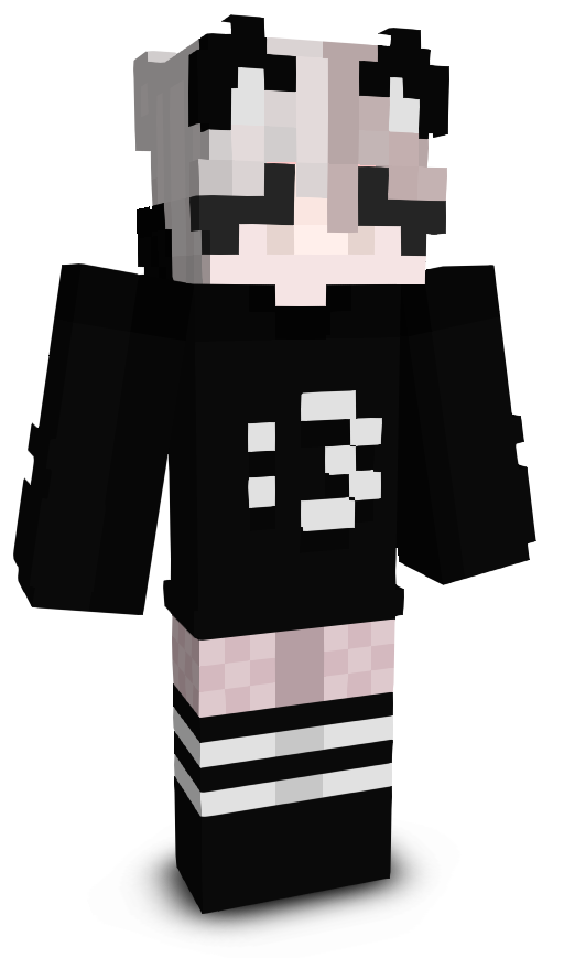 __SDN's skin
