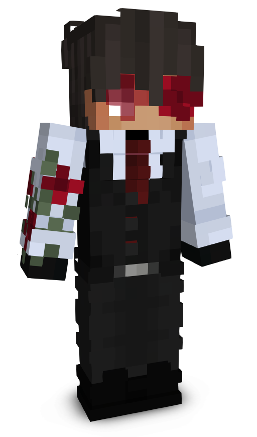 blazewww's skin