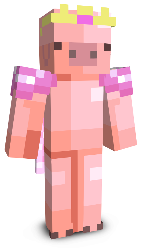 bigchunguspig827's skin
