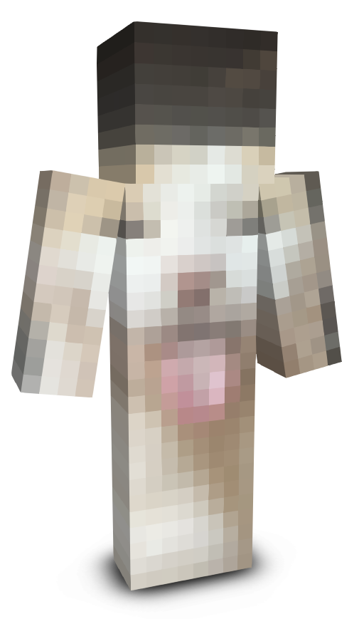 MeowWasTaken_'s skin