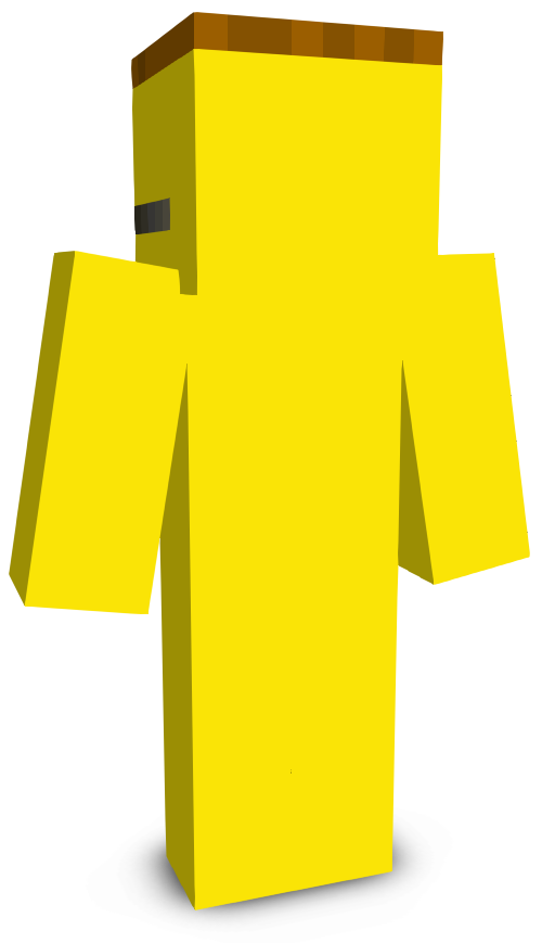 Bl0ck5h0t's skin