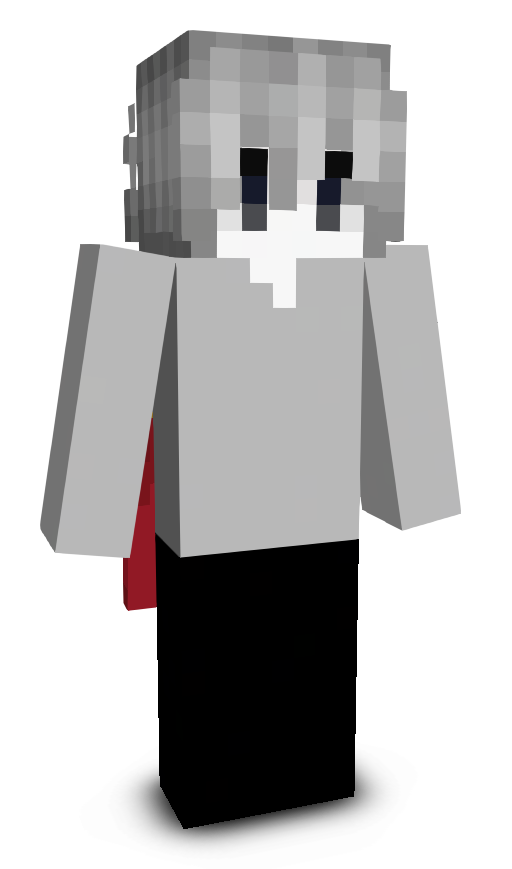 _q5_'s skin