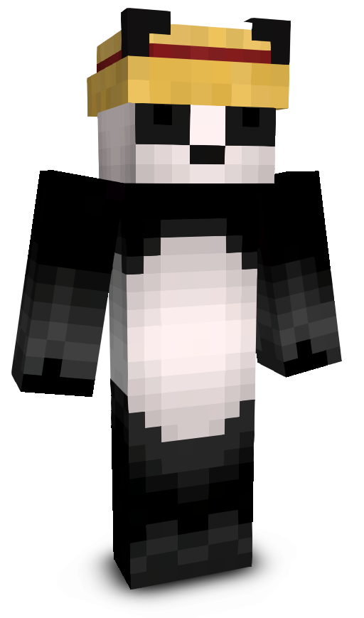notxpanda's skin
