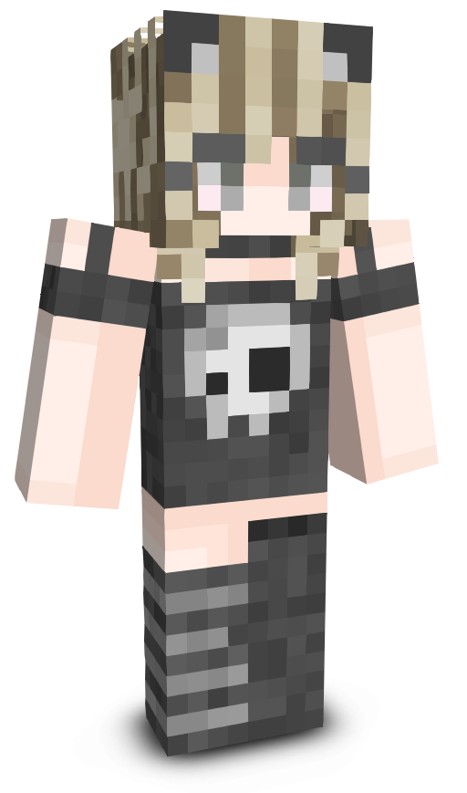 nt1_qssss's skin