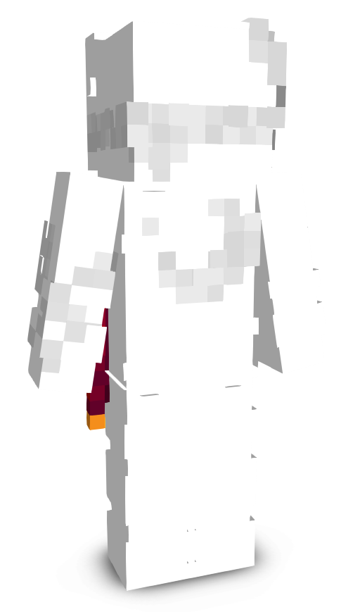 chasamm's skin