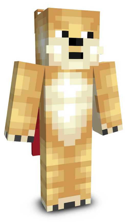 yankeldonk's skin