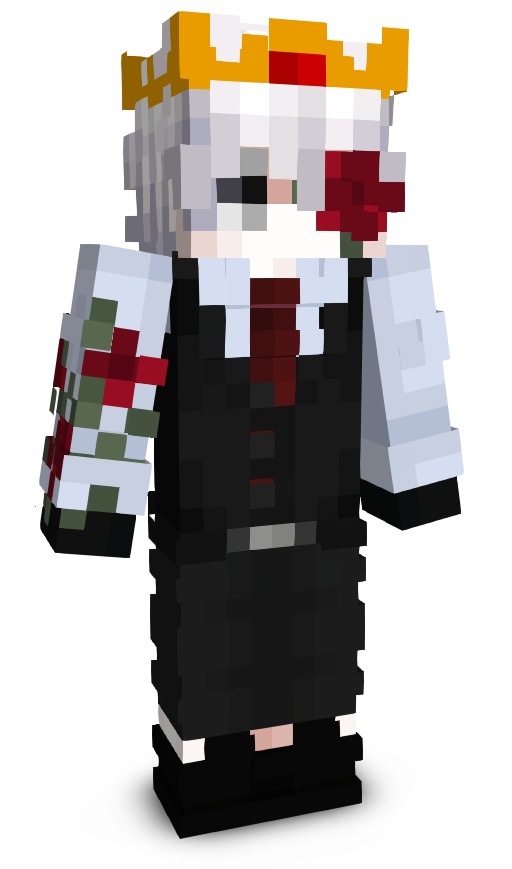 Netox66's skin