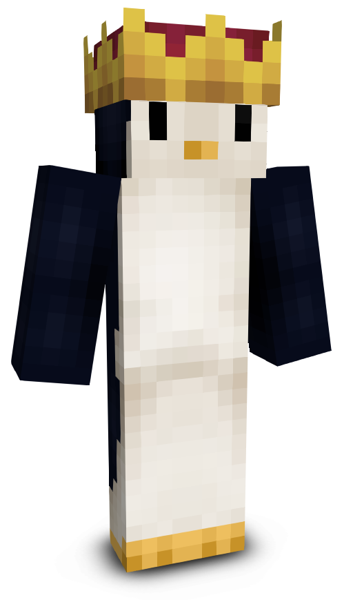 PenguinFighter67's skin