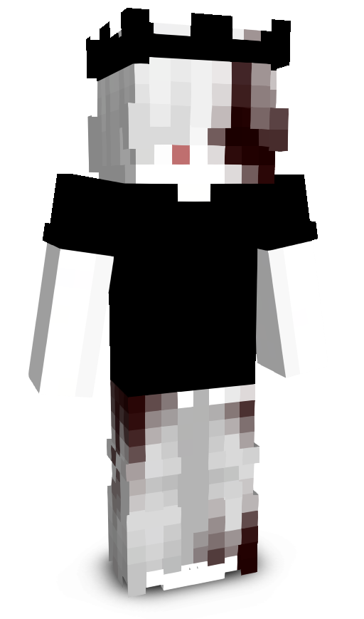 HiddenSeek's skin