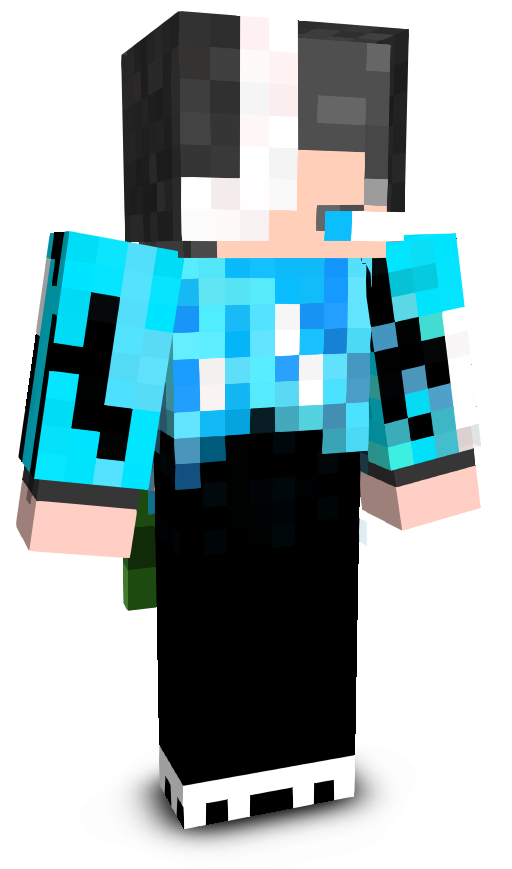 FishBoom's skin
