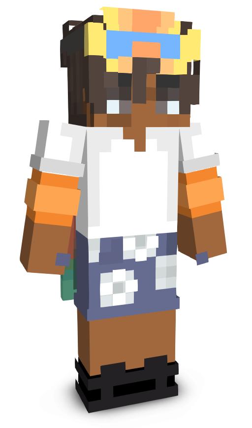 TaxTime's skin