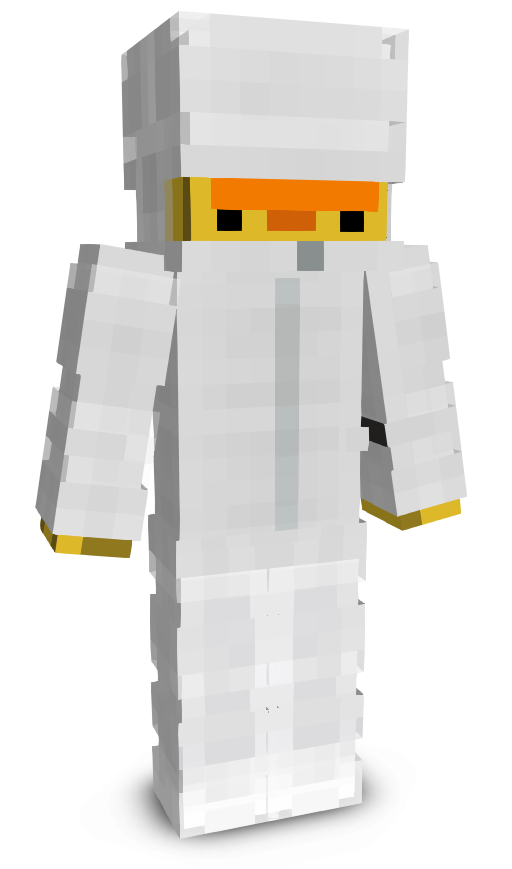 W1zerr's skin