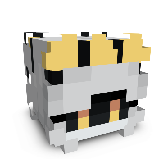 _RayZeN__ skin